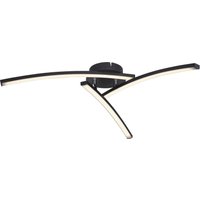Lighting - TANSY I - Deckenleuchte Metall schwarz matt, LED von Globo