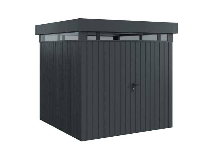 EcoStar Metallgerätehaus Euroline EFD5 LB anthrazit 214 x 214 cm von Globus Baumarkt