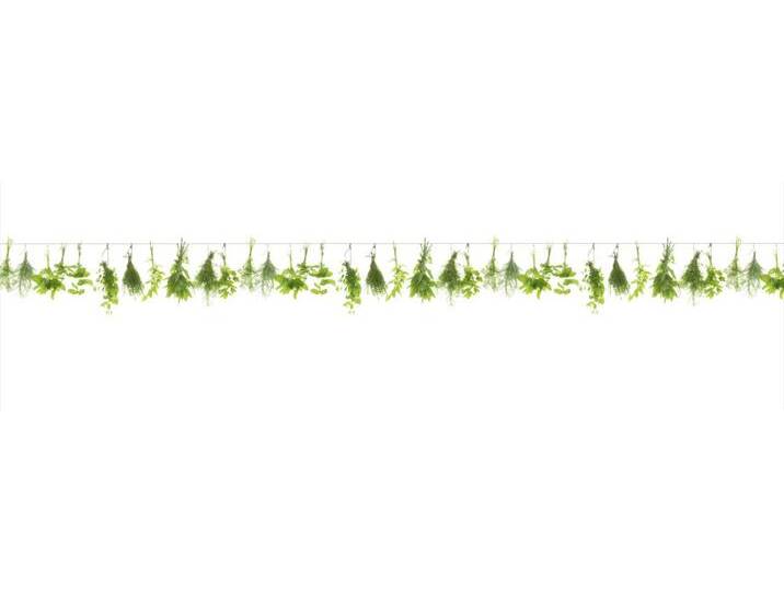 Küchenrückwand WandArt easy 200 x 58,5 cm, 3 mm, herbs line von Globus Baumarkt