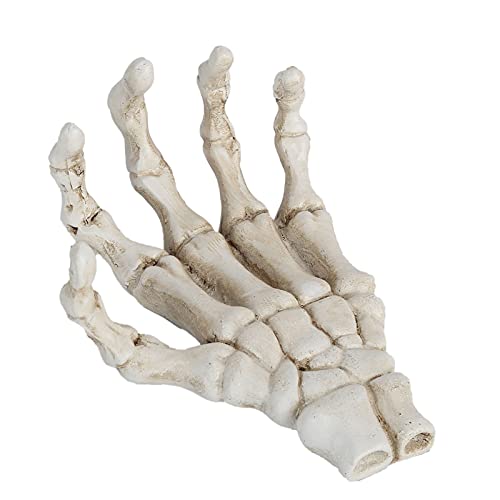 Glomora Halloween Skelett Hände,Menschliches Skelett-Handmodell Skelett Hände Deko Skeletthand Halloween-Dekorations-Requisiten für Halloween Spukhaus-Requisiten Horrorpartys von Glomora
