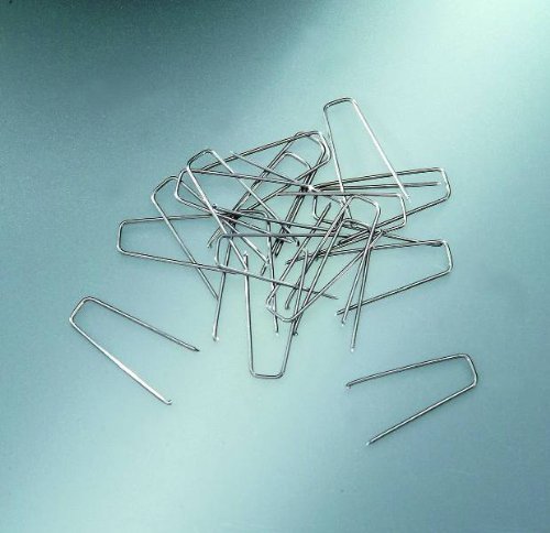 GLOREX Strohblumennadeln, Metall, Silber, 100 St./pcs. 6 x 25 mm GLOREX Strohblumennadeln, Metall, Silber, 100 St./pcs. 6 x 25 mm von GLOREX