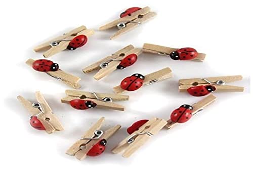 GLOREX Marienkäfer Mini Wäscheklammer, Holz, Mehrfarbig, 11 x 5,6 x 1 cm, 12-Einheiten von GLOREX