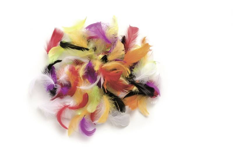 Glorex Deco-Federn multicolor ca. 30 Stück von Glorex