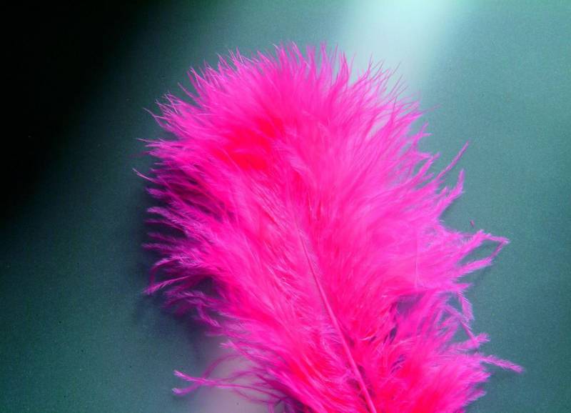 Glorex Marabufedern pink ca. 15 Stück von Glorex