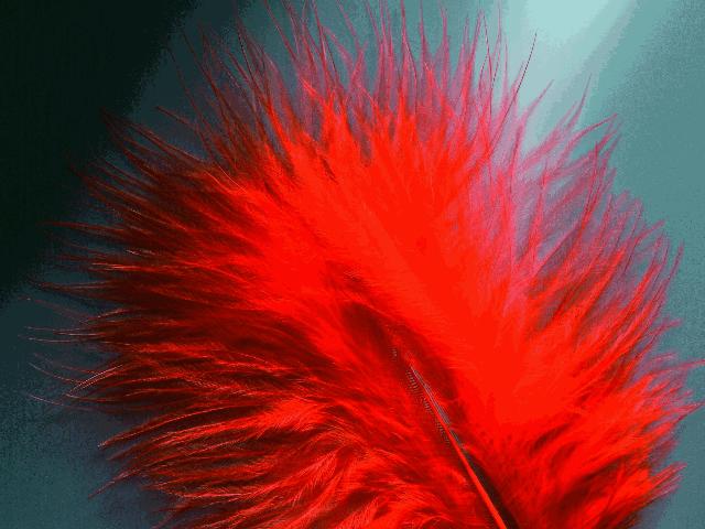 Glorex Marabufedern rot ca. 15 Stück Glorex Marabufedern rot ca. 15 Stück von Glorex
