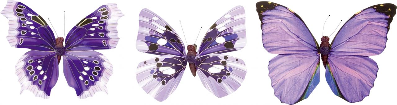 Glorex Schmetterling violett 8cm mit Clip Farbe: violett von Glorex