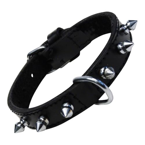 GLORIA 8432288103418 Halshaut 1 Reihe von Spikes, Negro, 250 g von Gloria