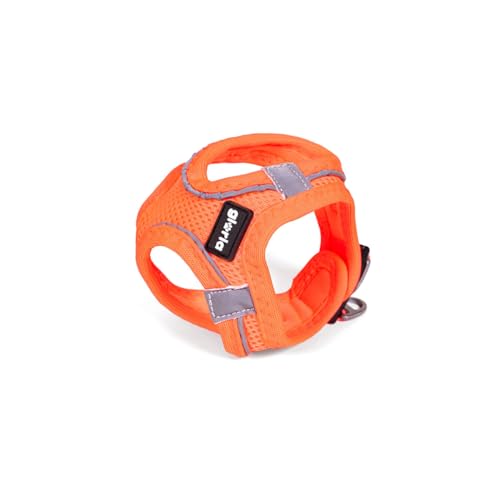 Gloria Trek Star Hundegeschirr 32,8-35,4 cm, 45-47 cm, Orange M von Gloria