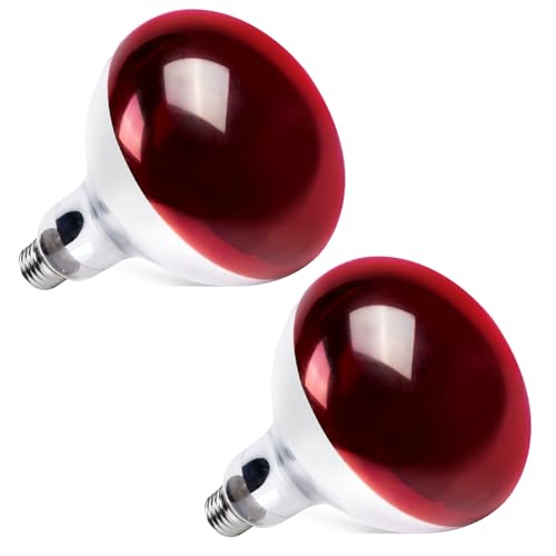 GlowUp R125 E27 Infrarotlampe, 250W Dimmbar Infrarot Wärmelampe Reflektor Rotlichtlampe Wärmelampe für Küken, Schildkröten, Schweinestall (2 Stück) von GlowUp