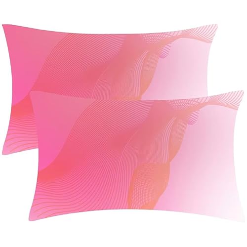 Kissenbezug 30 x 60 Gradient Einfachheit Kopfkissenbezug 2er Set Sofakissen Samt Kissenbezüge Rechteckig Dekokissen für Sofa Stühle Deko Wohnzimmer Modern Couchkissen Schlafzimmer Kissenhülle F-598 Kissenbezug 30 x 60 Gradient Einfachheit Kopfkissenbezug 2er Set Sofakissen Samt Kissenbezüge Rechteckig Dekokissen für Sofa Stühle Deko Wohnzimmer Modern Couchkissen Schlafzimmer Kissenhülle F-598 von Glslmznq