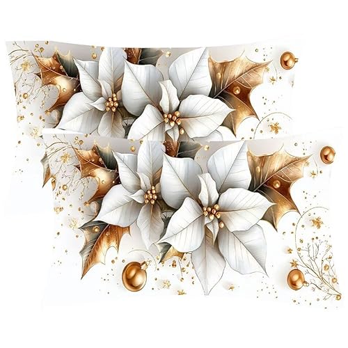 Kissenbezug 30 x 60 Kissenbezüge Blumen LilienZierkissen 2er Set Rechteckig Couchkissen Zierkissenbezüge Samt Sofa Kopfkissenbezug für Deko Wohnzimmer Herbst Gartenmöbel Kissen Geschenke d-484 von Glslmznq