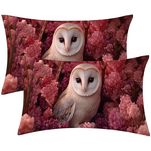 Kissenbezug 50 x 100 Blumen Eule Kopfkissenbezug 2er Set Sofakissen Samt Kissenbezüge Rechteckig Dekokissen für Sofa Stühle Deko Wohnzimmer Modern Couchkissen Schlafzimmer Kissenhülle, Geschenke F-486 von Glslmznq
