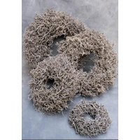 Wüstenbusch-Kranz/ Türkranz/ Wandkranz/ Kranz von GluecksmomentErleben