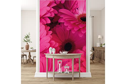 Glücksvilla - Fototapete, selbstklebend (120 x 250 cm (BxH) - div. Maße - Vlies-Tapete XXL Wand-Deko - Gerbera in Pink - Blumen-Strauß Blüte Natur Garten Botanik rosa lila Fotografie x von Glücksvilla
