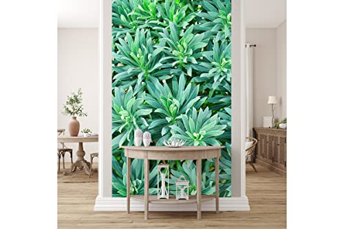 Glücksvilla - Fototapete, selbstklebend (120 x 250 cm (BxH) - div. Maße - Vlies-Tapete XXL Wand-Deko - Mittelmeer Wolfsmilch - Euphorbia characias Blume Blüte Pflanze Garten Fotografie x von Glücksvilla