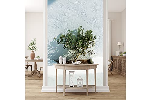 Glücksvilla - Fototapete, selbstklebend (120 x 250 cm (BxH) - div. Maße - Vlies-Tapete XXL Wand-Deko - Weiß 3 - Griechenland Baum Pflanze Olive Bäumchen Topfpflanze Bretagne x von Glücksvilla