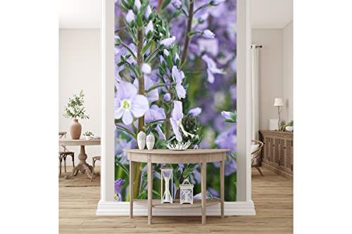 Glücksvilla - Fototapete, selbstklebend (120 x 250 cm (BxH) - div. Maße - Vlies-Tapete - moderne Wand-Deko - Enzian-Ehrenpreis Maihimmel - Blauer Enzian lila Blume Blüte Pflanze Garten von Glücksvilla