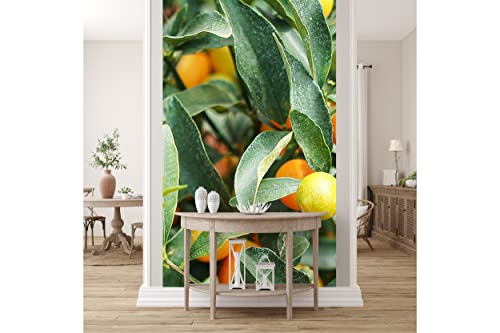 Glücksvilla - Fototapete, selbstklebend (120 x 250 cm (BxH) - div. Maße - Vlies-Tapete - moderne Wand-Deko - Kumquat Zwergorange 2 - Mini-Orange Citrus-Frucht Pflanze Garten Baum Fotografie von Glücksvilla