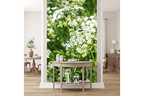 Glücksvilla - Fototapete, selbstklebend (120 x 250 cm (BxH) - div. Maße - Vlies-Tapete - moderne Wand-Deko - Wiesen-Kerbel im Frühling - Natur Botanik Garten Blume Blüte weiß grün Fotografie von Glücksvilla