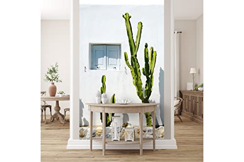 Glücksvilla - Fototapete, selbstklebend (120 x 250 cm BxH) - div. Maße - Vlies-Tapete XXL Wand-Deko - Kakteen vor weißer Wand - mediterrane Fotografie Kaktus Garten-Pflanze Natur x von Glücksvilla