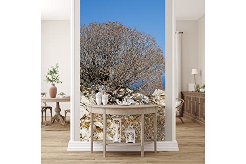 Glücksvilla - Fototapete, selbstklebend (120 x 250 cm BxH) - div. Maße - Vlies-Tapete XXL Wand-Deko - Wilde Macchia auf Naxos 2 - maritime Fotografie Meer Klippe Sträucher Natur x von Glücksvilla
