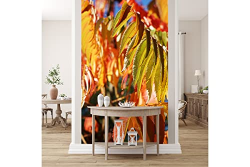 Glücksvilla - Fototapete, selbstklebend (120 x 250 cm BxH) - div. Maße - Vlies-Tapete XXL moderne Wand-Deko - Buntes Herbstlaub 7 - Fotografie Garten-Pflanzen Baum Herbst Blätter Natur von Glücksvilla