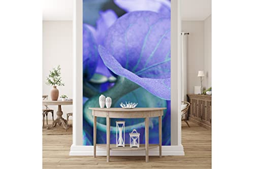 Glücksvilla - Fototapete, selbstklebend (120 x 250 cm BxH) - div. Maße - Vlies-Tapete XXL moderne Wand-Deko - Calla-Blüten Romantik 2 - florale Fotografie Garten-Pflanzen Blumen Natur von Glücksvilla