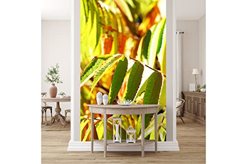 Glücksvilla - Fototapete, selbstklebend (120 x 250 cm BxH) - div. Maße - Vlies-Tapete - moderne Wand-Deko - Buntes Herbstlaub - Fotografie Garten-Pflanzen Baum Herbst Blätter Natur von Glücksvilla