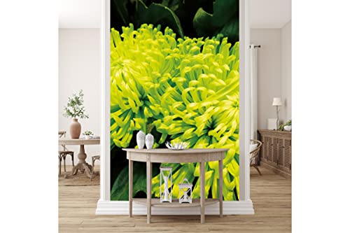Glücksvilla - Fototapete, selbstklebend (120 x 300 cm (BxH) - div. Maße - Vlies-Tapete - Wand-Deko - Pflanzenwelten - Urwald Blume Blüte Natur Garten Botanik gelb grün x von Glücksvilla