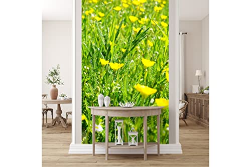 Glücksvilla - Fototapete, selbstklebend (120 x 300 cm (BxH) - div. Maße - Vlies-Tapete XXL Wand-Deko - Butterblumen-Frühlingswiese - Natur Botanik Hahnenfuß Blume Blüte Fotografie x von Glücksvilla