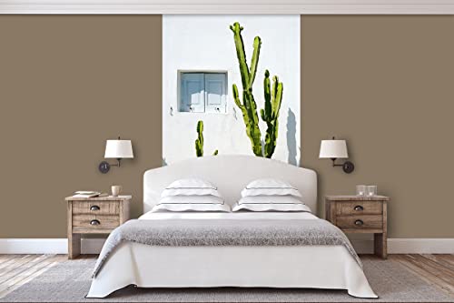 Glücksvilla - Fototapete, selbstklebend (120 x 300 cm BxH) - div. Maße - Vlies-Tapete - Wand-Deko - Kakteen vor weißer Wand - mediterrane Fotografie Kaktus Garten-Pflanze Natur x von Glücksvilla