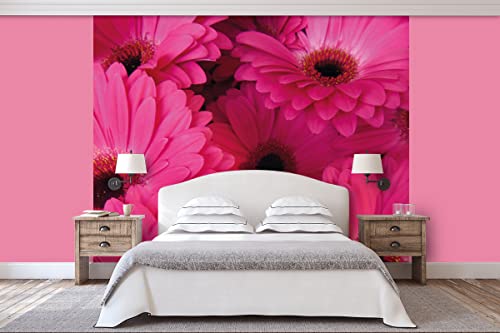 Glücksvilla - Fototapete, selbstklebend (240 x 250 cm (BxH) - div. Maße - Vlies-Tapete XXL Wand-Deko - Gerbera in Pink - Blumen-Strauß Blüte Natur Garten Botanik rosa lila Fotografie x von Glücksvilla