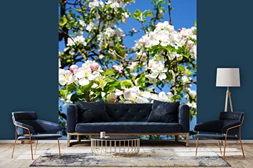 Glücksvilla - Fototapete, selbstklebend (240 x 250 cm (BxH) - div. Maße - Vlies-Tapete - moderne Wand-Deko - Apfelblüten-Frühling 3 - Natur Botanik Apfel-Baum Garten Blume Blüte Fotografie von Glücksvilla
