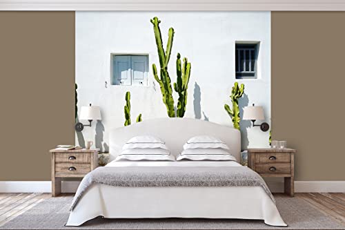 Glücksvilla - Fototapete, selbstklebend (240 x 250 cm BxH) - div. Maße - Vlies-Tapete XXL Wand-Deko - Kakteen vor weißer Wand - mediterrane Fotografie Kaktus Garten-Pflanze Natur x von Glücksvilla