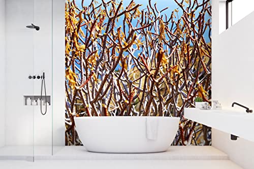 Glücksvilla - Fototapete, selbstklebend (240 x 250 cm BxH) - div. Maße - Vlies-Tapete XXL Wand-Deko - Mediterrane Macchia 1 - Fotografie Garten-Pflanzen Busch Sträucher Natur von Glücksvilla