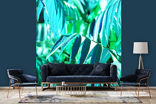 Glücksvilla - Fototapete, selbstklebend (240 x 250 cm BxH) - div. Maße - Vlies-Tapete - moderne Wand-Deko - Buntes Herbstlaub 2 - Fotografie Garten-Pflanzen Baum Herbst Blätter Natur von Glücksvilla