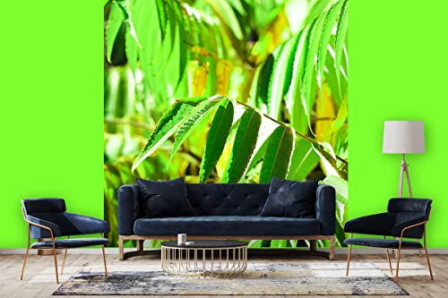 Glücksvilla - Fototapete, selbstklebend (240 x 250 cm BxH) - div. Maße - Vlies-Tapete - moderne Wand-Deko - Buntes Herbstlaub 3 - Fotografie Garten-Pflanzen Baum Herbst Blätter Natur von Glücksvilla