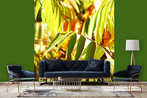 Glücksvilla - Fototapete, selbstklebend (240 x 250 cm BxH) - div. Maße - Vlies-Tapete - moderne Wand-Deko - Buntes Herbstlaub - Fotografie Garten-Pflanzen Baum Herbst Blätter Natur von Glücksvilla