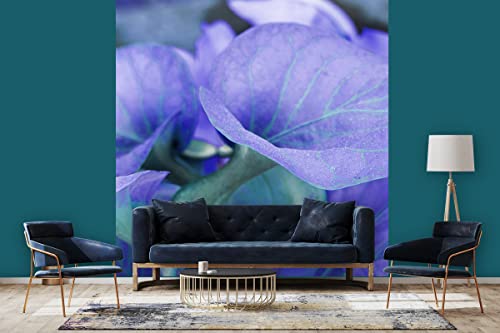 Glücksvilla - Fototapete, selbstklebend (240 x 250 cm BxH) - div. Maße - Vlies-Tapete - moderne Wand-Deko - Calla-Blüten Romantik 2 - florale Fotografie Garten-Pflanzen Blumen Natur von Glücksvilla