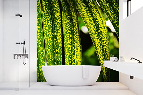 Glücksvilla - Fototapete, selbstklebend (240 x 300 cm (BxH) - div. Maße - Vlies-Tapete - Wand-Deko - Blattwerk 1 - Pflanze Blätter Natur Garten Botanik Palme Fotografie von Glücksvilla