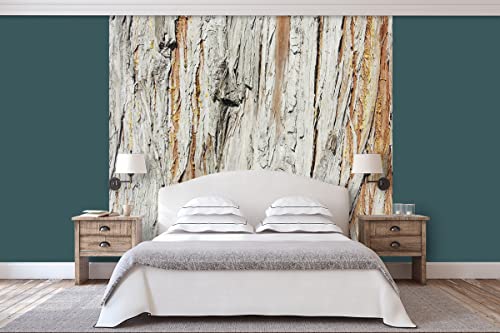 Glücksvilla - Fototapete, selbstklebend (240 x 300 cm (BxH) - div. Maße - Vlies-Tapete - Wand-Deko - Holz-Details 3 - Frankreich Deko Natur Baum Holzwand Holz-Optik Fotografie von Glücksvilla