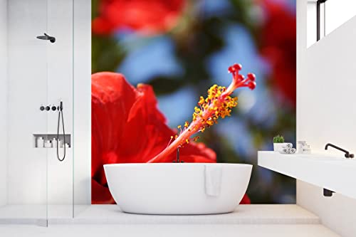 Glücksvilla - Fototapete, selbstklebend (240 x 300 cm (BxH) - div. Maße - Vlies-Tapete XXL Wand-Deko - Kreta roter Hibiskus - Griechenland Mittelmeer Blume Blüte Natur Fotografie x von Glücksvilla