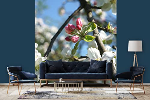 Glücksvilla - Fototapete, selbstklebend (240 x 300 cm (BxH) - div. Maße - Vlies-Tapete XXL moderne Wand-Deko - Apfelblüten-Frühling 4 - Natur Botanik Apfel-Baum Garten Blume Blüte Fotografie von Glücksvilla