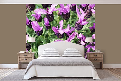 Glücksvilla - Fototapete, selbstklebend (240 x 300 cm (BxH) - div. Maße - Vlies-Tapete XXL moderne Wand-Deko - Lila Schopf-Lavendel Blüten - Natur Botanik Garten Pflanzen Blume Blüte Fotografie von Glücksvilla