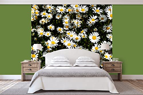 Glücksvilla - Fototapete, selbstklebend (240 x 300 cm (BxH) - div. Maße - Vlies-Tapete XXL moderne Wand-Deko - Margeriten Blüten-Traum 3 - Blume Blüte Wiese Botanik Pflanze Natur Fotografie von Glücksvilla