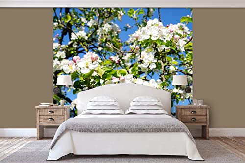 Glücksvilla - Fototapete, selbstklebend (240 x 300 cm (BxH) - div. Maße - Vlies-Tapete - moderne Wand-Deko - Apfelblüten-Frühling 3 - Natur Botanik Apfel-Baum Garten Blume Blüte Fotografie von Glücksvilla
