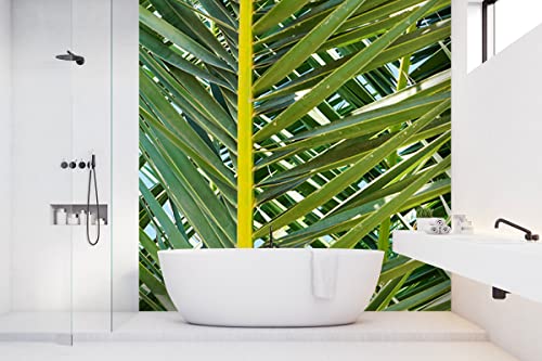 Glücksvilla - Fototapete, selbstklebend (240 x 300 cm BxH) - div. Maße - Vlies-Tapete - Wand-Deko - Palmenfächer 2 - mediterrane Fotografie Fächer-Palme Garten-Pflanze Natur x von Glücksvilla