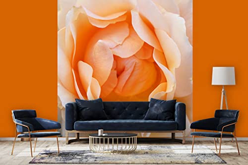 Glücksvilla - Fototapete, selbstklebend (240 x 300 cm BxH) - div. Maße - Vlies-Tapete - Wand-Deko - Rosen-Blüte Rosentraum 2 - florale Fotografie Blume Garten-Pflanze Natur Botanik x von Glücksvilla