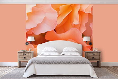 Glücksvilla - Fototapete, selbstklebend (240 x 300 cm BxH) - div. Maße - Vlies-Tapete - Wand-Deko - Rosen-Blüte Rosentraum 5 - florale Fotografie Blume Garten-Pflanze Natur Botanik x von Glücksvilla