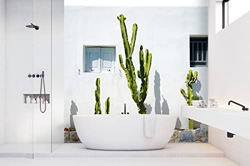 Glücksvilla - Fototapete, selbstklebend (240 x 300 cm BxH) - div. Maße - Vlies-Tapete XXL Wand-Deko - Kakteen vor weißer Wand - mediterrane Fotografie Kaktus Garten-Pflanze Natur x von Glücksvilla